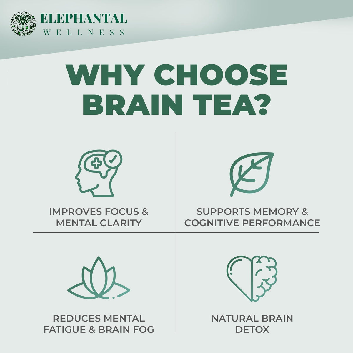 Elephantal Wellness Premium Brain Herbal Tea | Nootropic Focus & Mental Clarity with Ginkgo, Bacopa, Gotu Kola & Rosemary | Non-GMO, Caffeine-Free Coffee Alternative, Handmade Loose Leaf Blend, 2oz Loose Leaf, 20 Servings - Maple Wellness Supplements