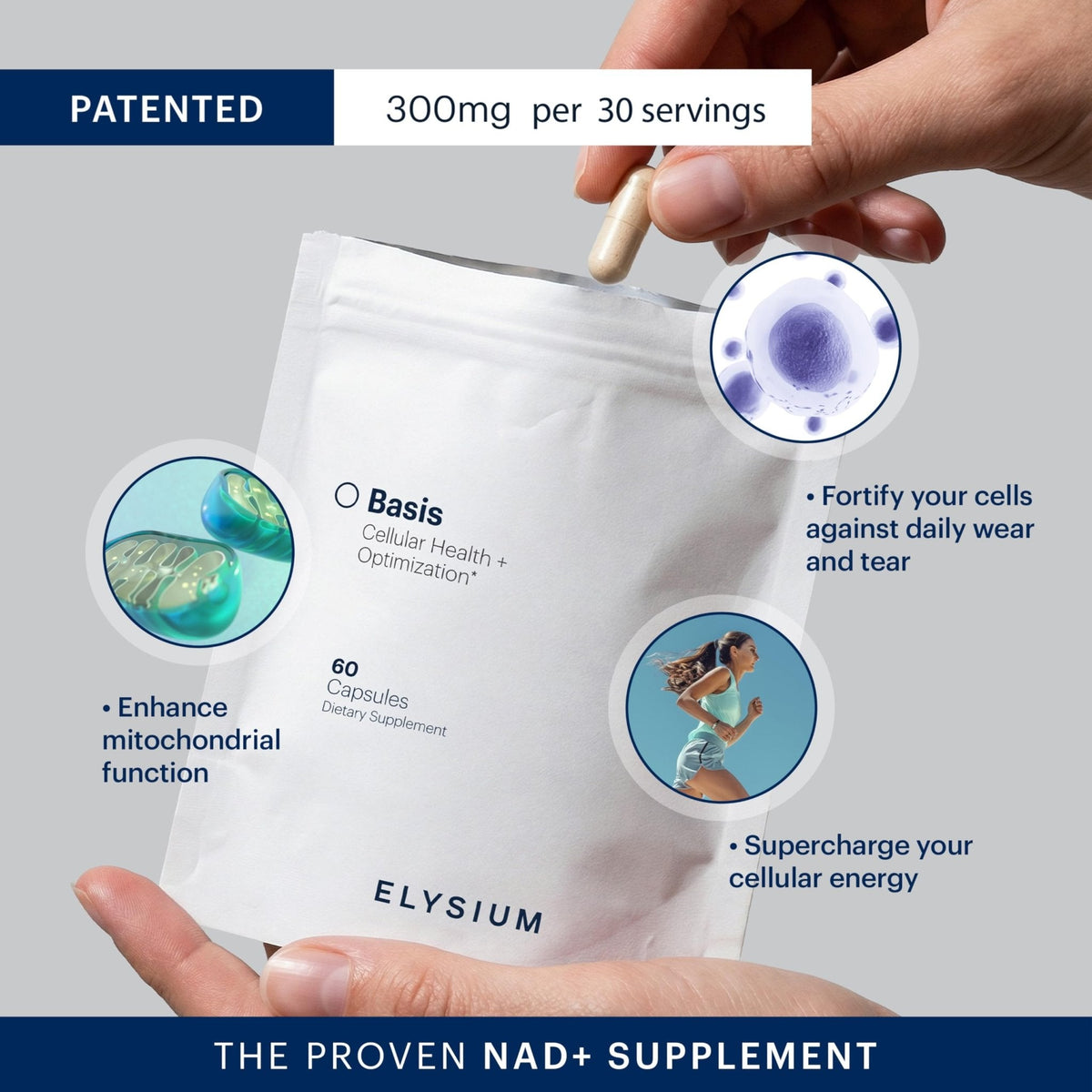 ELYSIUM Basis NAD Plus Supplement 30 Servings - with Nicotinamide Riboside 250mg and Pterostilbene 50mg - Healthy Aging Supplement & Cellular Energy - Maple Wellness Supplements