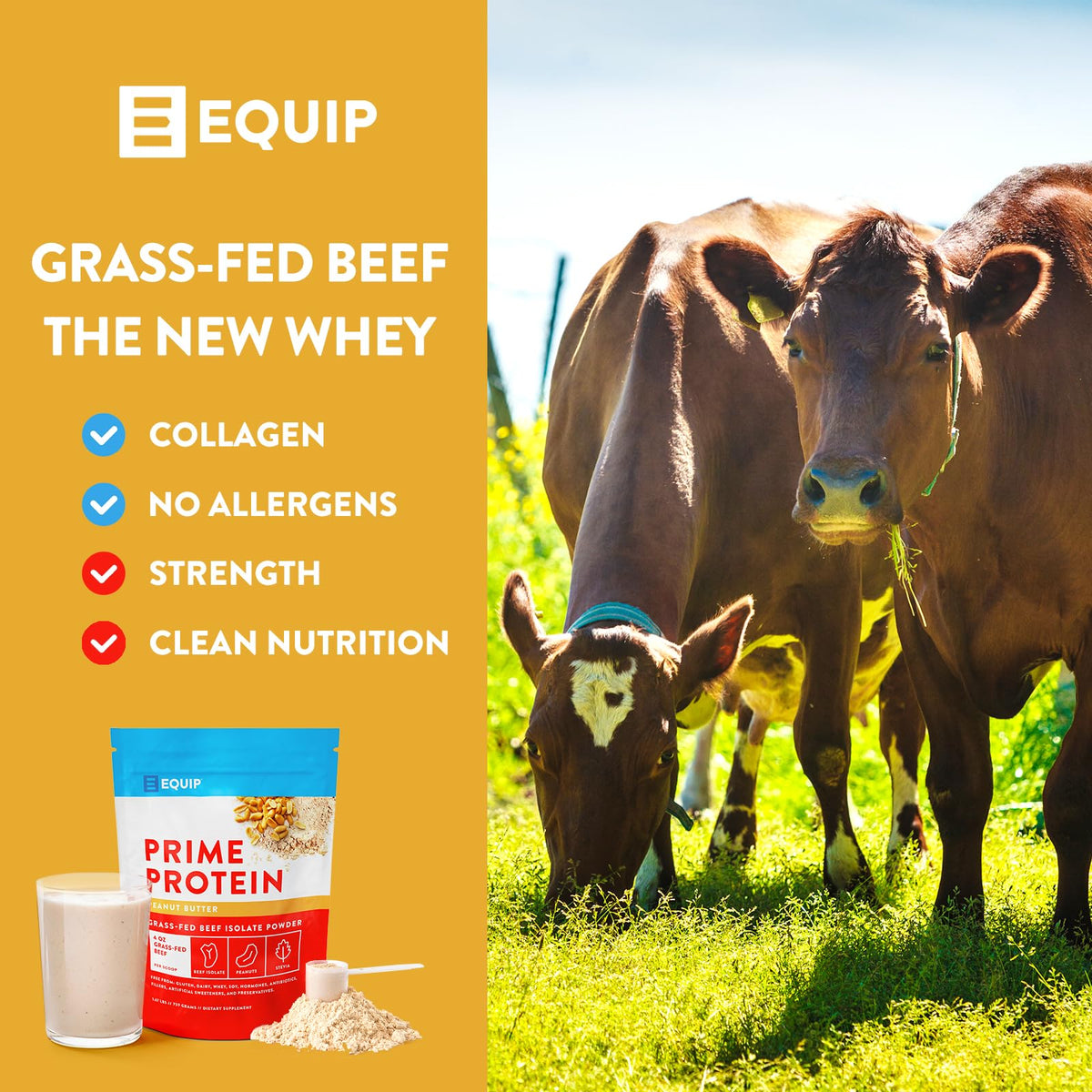 Equip Foods Prime Protein - Grass Fed Beef Protein Powder Isolate - Paleo and Keto Friendly - Maple Wellness Supplements