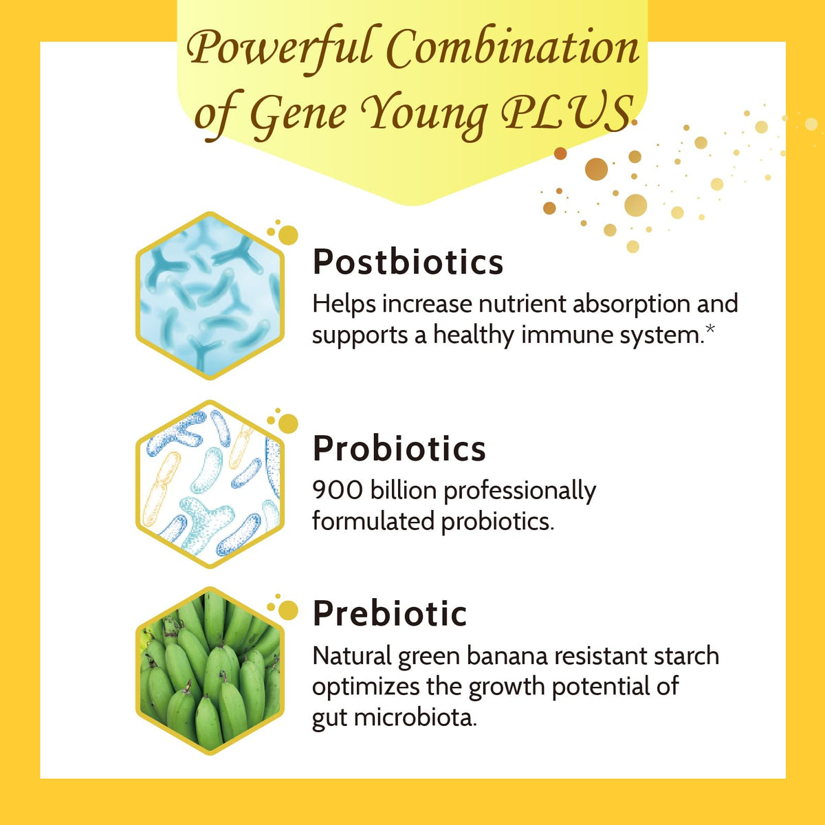 Fecula Biotech Superfood Resistant Starch,Prebiotics Supplement,Bifidobacterium longum - Maple Wellness Supplements
