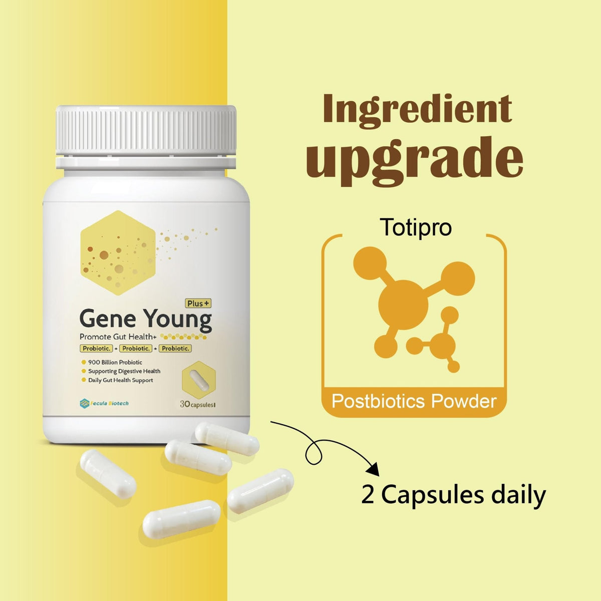 Fecula Biotech Synbiotic for Gut Health | 3-in-1 Daily Prebiotic, Probiotic, Postbiotic for Digestive Health, Bloat & Immune Support - Maple Wellness Supplements