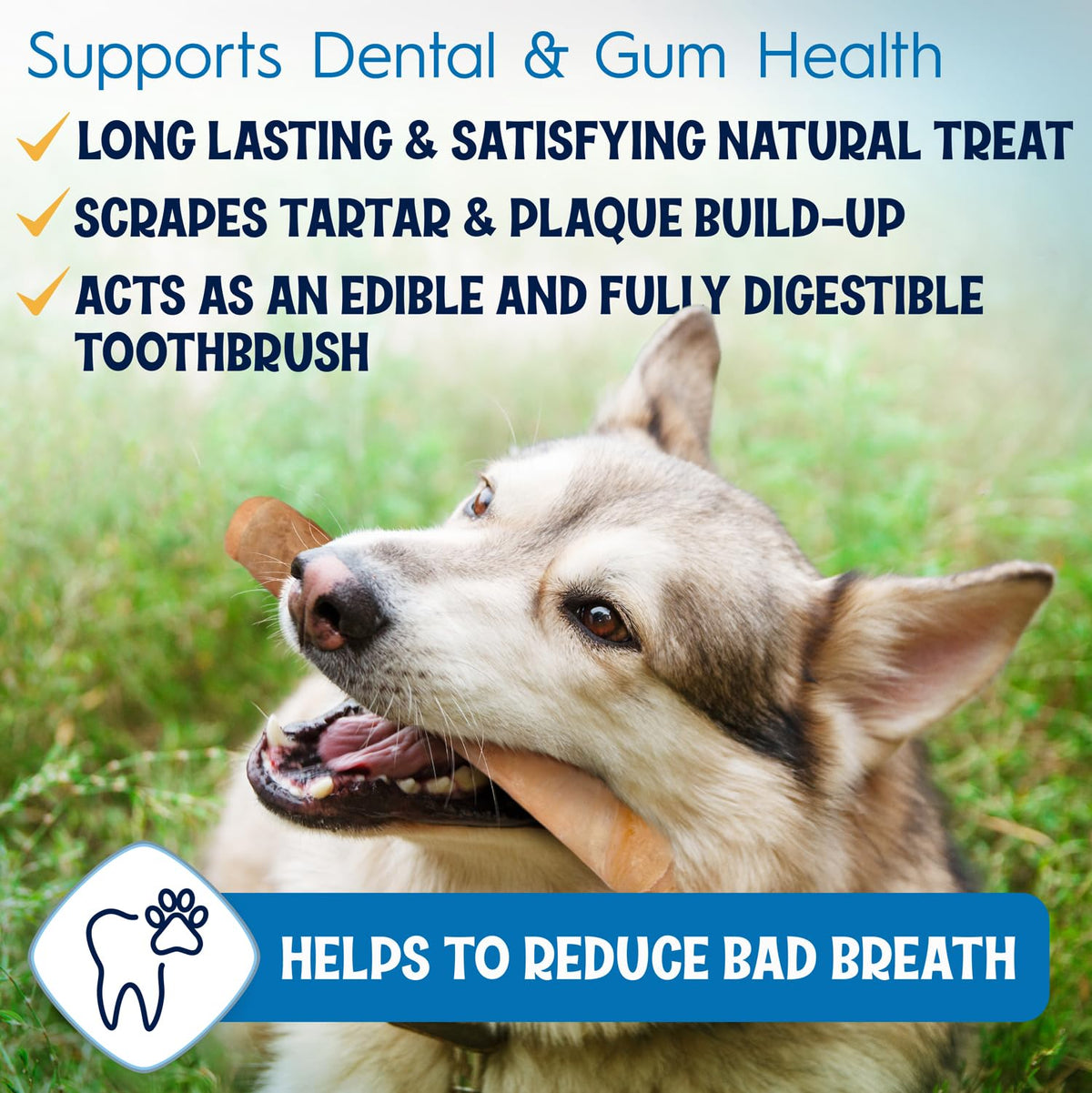 FETCHERONI 6" Collagen Sticks for Dogs – Low Odor Long-Lasting Bully Stick & Rawhide Alternative, Single Ingredient Beef Bone, High Protein Dental Treat, Vet Approved, Improves Joint Health – 5 Pack - Maple Wellness Supplements