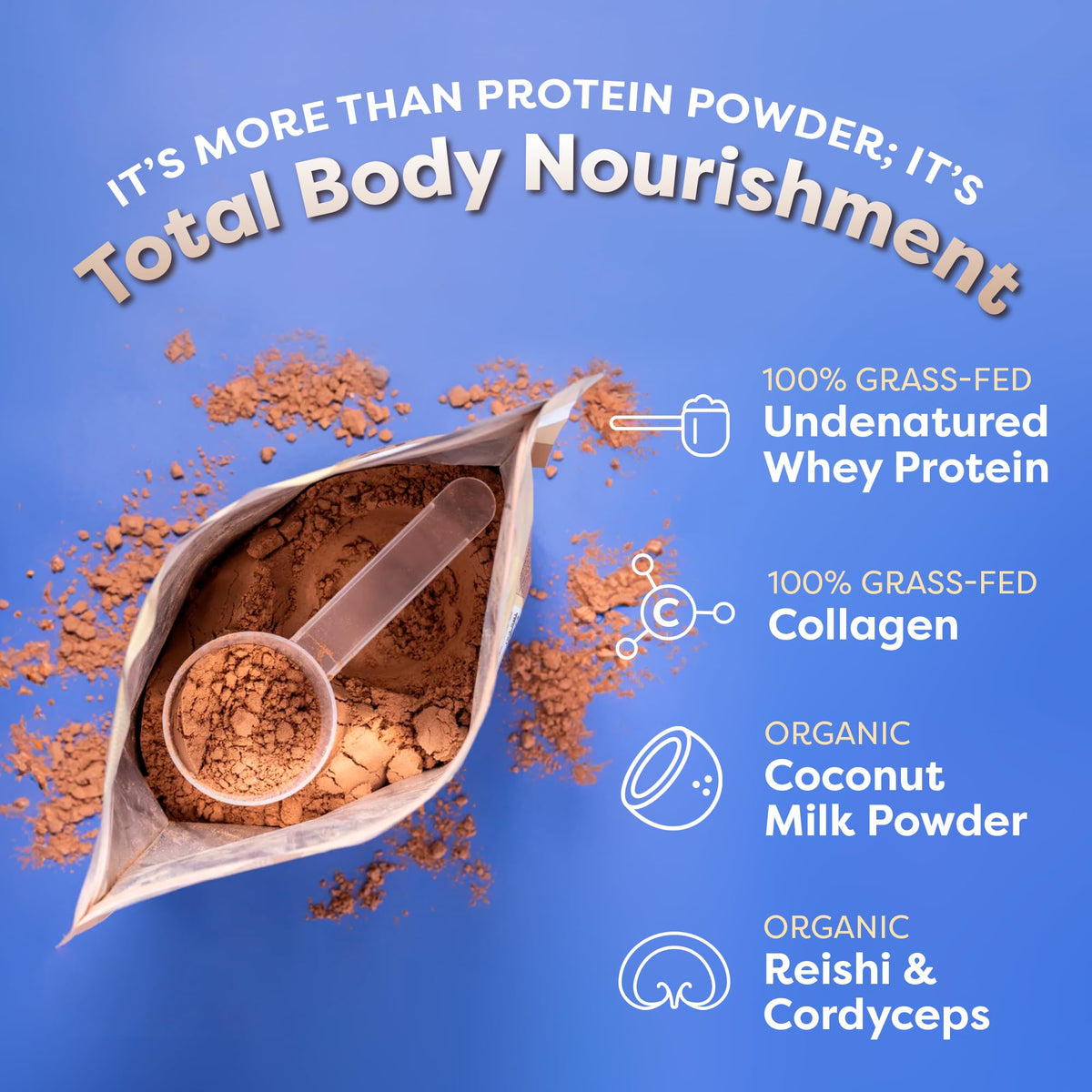 FlavCity Protein Powder Smoothie, Chocolate Peanut Butter - 100% Grass-Fed Whey Pro - Maple Wellness Supplements