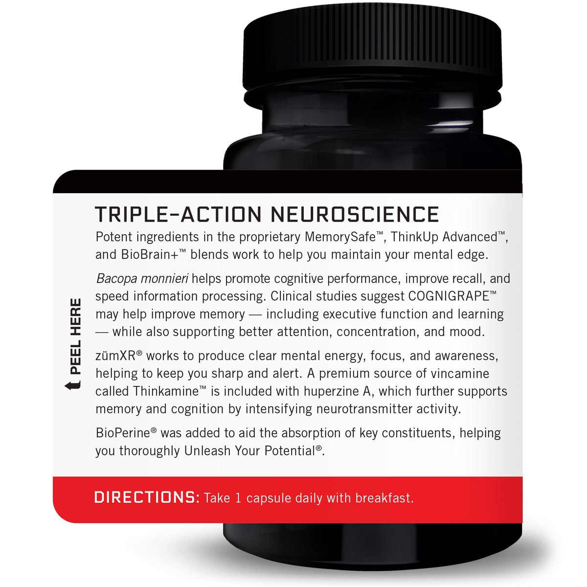 Force Factor Forebrain Nootropic Brain Supplement to Improve Memory, Boost Focus, Increase Mental Energy, and Support Brain Health with Caffeine, Bacopa, and Huperzine A, 30 Capsules - Maple Wellness Supplements