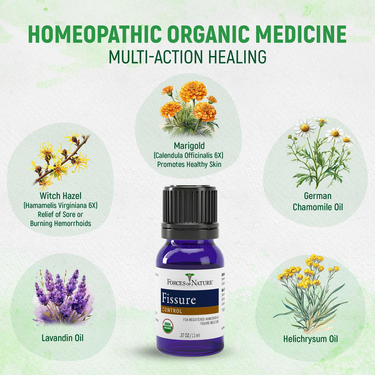 Forces of Nature Fissure Control, Organic Homeopathic Treatment with Witch Hazel for Anal Fissures, Hemorrhoid Related Irritation & Discomfort, Fast, Natural Topical Relief, 1 Fl Oz - Maple Wellness Supplements