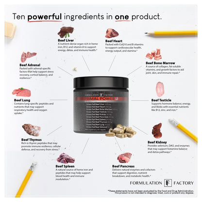 Formulation Factory Primal Power 10-in-1 Beef Organ Supplement - Grass Fed Beef Liver Capsules with Heart, Bone Marrow, Kidney, Testicle - Freeze Dried Organ - 120 Capsules, 2 Month Supply - Maple Wellness Supplements