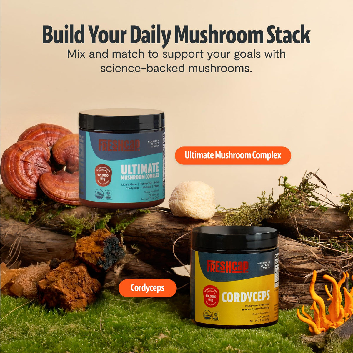 FreshCap Mushrooms Ultimate Mushroom Supplement Powder 12,000mg - Nootropic Organic Mushroom Complex for Focus & Memory, Brain Support Supplement, Ayurveda Mushroom Powder Extract (60 Servings) - Maple Wellness Supplements