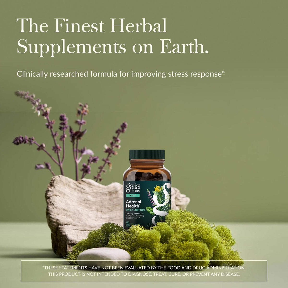 Gaia Herbs Adrenal Health Daily Support, Help Maintain Healthy Energy & Stress Levels*,120 Liquid Phyto-Caps Adrenal Health Nightly Restore, 120 Liquid Phyto-Caps - Bundle - Maple Wellness Supplements