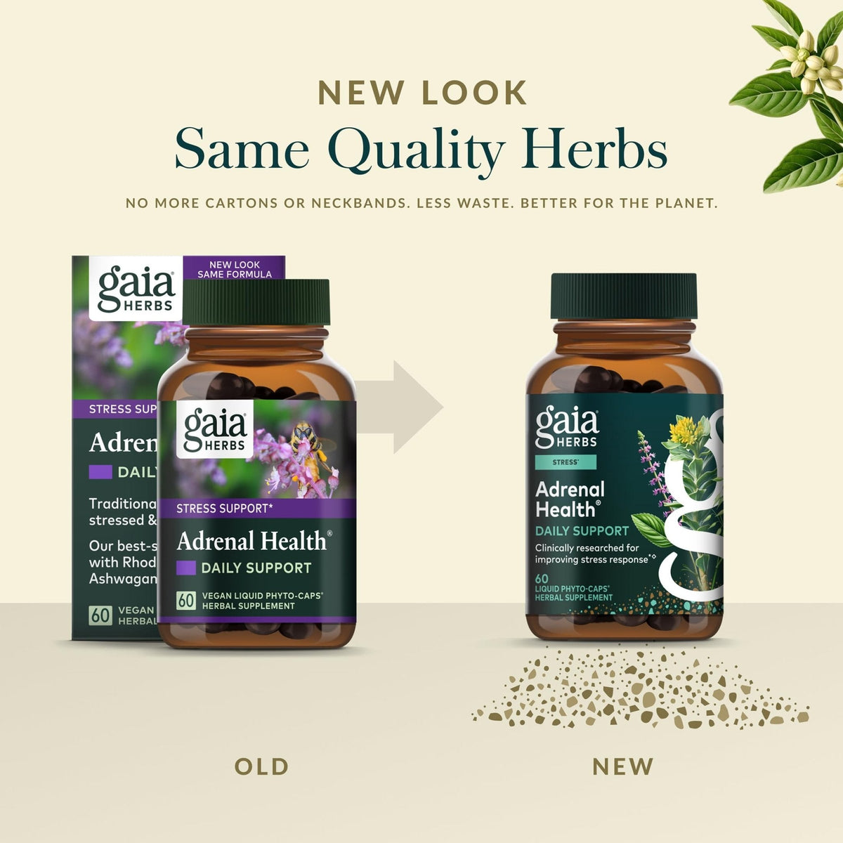 Gaia Herbs Adrenal Health Daily Support - Herbal Supplement with Ashwagandha, Holy Basil & Schisandra - Help Maintain Healthy Energy & Stress Levels* - 60 Vegan Liquid Phyto-Caps (30 Servings) - Maple Wellness Supplements
