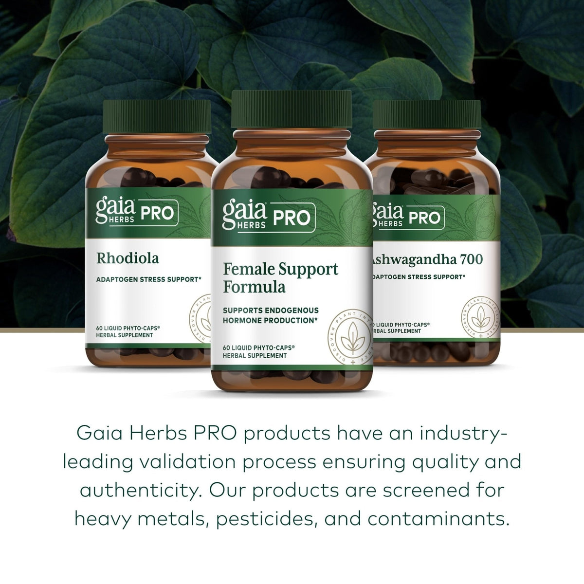 GAIA HERBS PRO Female Support Formula - Supports Healthy PMS & Menopause Fluctuations with Alfalfa Leaf, Black Cohosh Root Extract, Dandelion Root & More* - Vegan - 60 Liquid Phyto-Caps (60 Servings) - Maple Wellness Supplements
