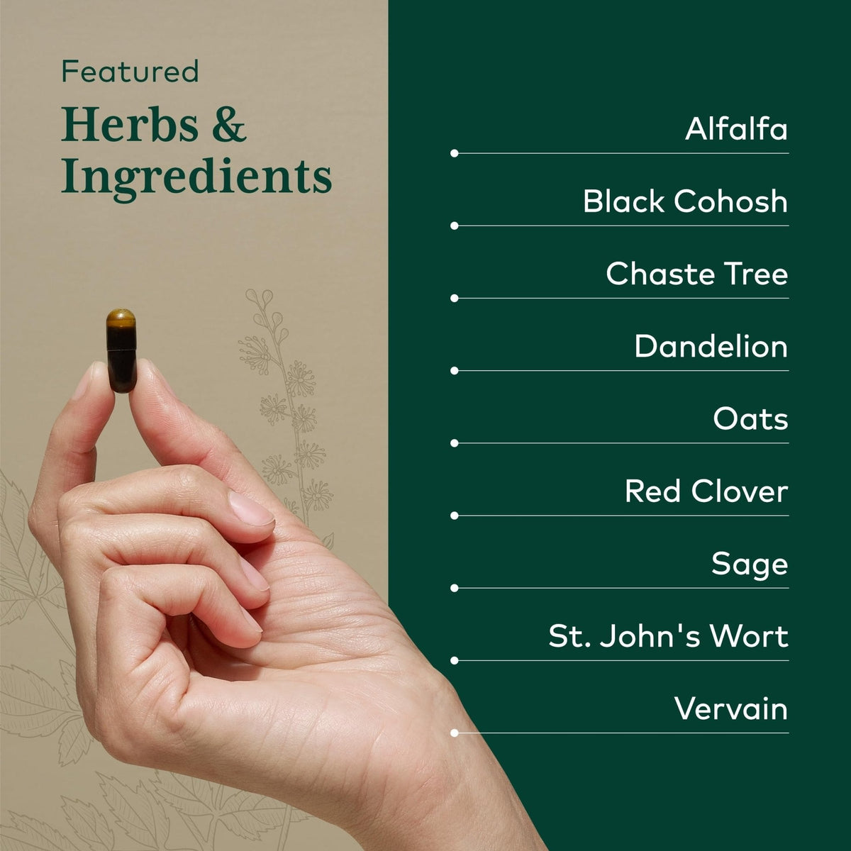 GAIA HERBS PRO Female Support Formula - Supports Healthy PMS & Menopause Fluctuations with Alfalfa Leaf, Black Cohosh Root Extract, Dandelion Root & More* - Vegan - 60 Liquid Phyto-Caps (60 Servings) - Maple Wellness Supplements