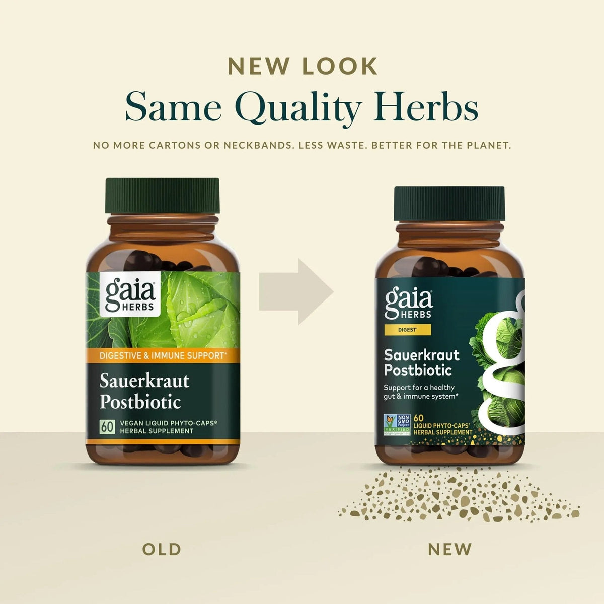 Gaia Herbs Sauerkraut Postbiotic - Gut Health & Immune Support Supplement* - Made with Fermented Sauerkraut - Free from Dairy, Soy & Gluten - 60 Vegan Liquid Phyto-Caps (30 Servings) - Maple Wellness Supplements