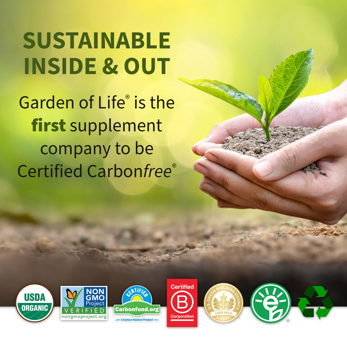 Garden of Life Organic Plant Protein Smooth Chocolate Powder, 10 Servings - Vegan, Grain - Maple Wellness Supplements