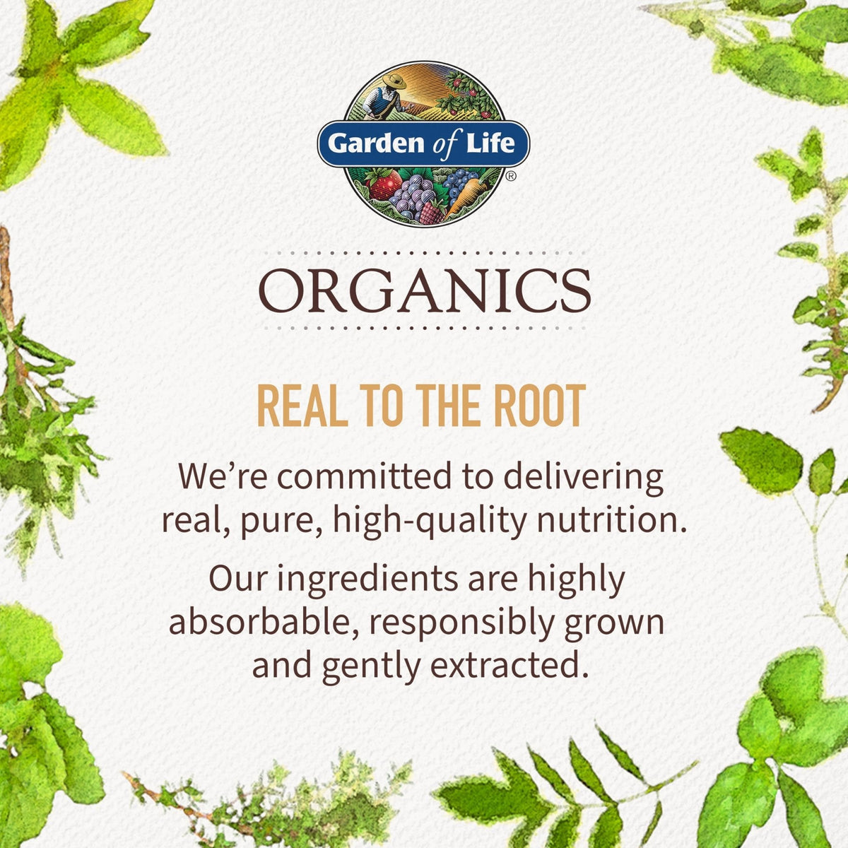 Garden of Life Organics Extra Strength Turmeric Inflammatory Response 120 Tablets-100Mg Curcumin (95% Curcuminoids) Black Pepper, Probiotics, Organic Non-GMO Vegan Gluten Free Herbal Supplement - Maple Wellness Supplements