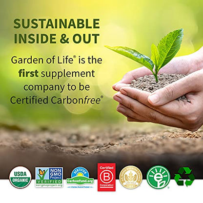 Garden of Life Raw Organic Fit Vegan Protein Powder Coffee, 28g Plant Based Protein - Maple Wellness Supplements