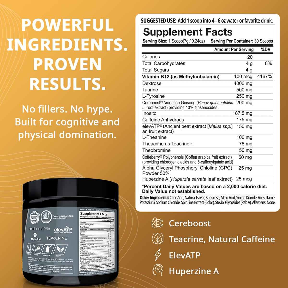 Granite Nutrition GigaBrain Nootropic Energy Powder – Cereboost, Alpha-GPC & ElevATP – Cognitive Focus Supplement for Sustained Energy & Performance – White Peach, 30 Servings - Maple Wellness Supplements