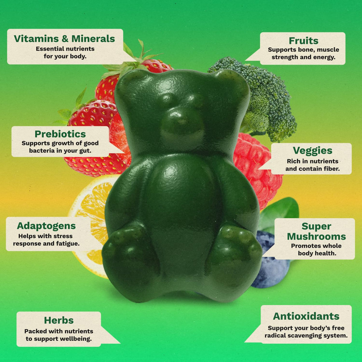 Gruns Sugar-Free Super Greens Gummies, Multivitamin Superfood Gummy Bears, Spirulina, Chlorella, Prebiotics & Fiber gummies for Digestive Health, Adaptogens Supplement, 20 Vitamins & Minerals, 10 pack - Maple Wellness Supplements