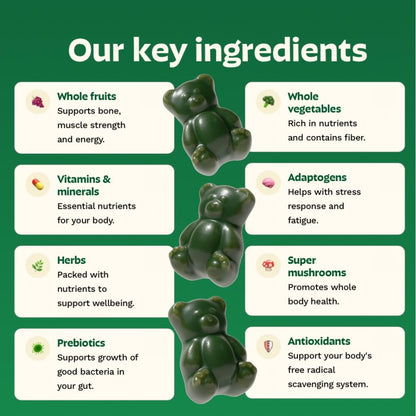 Gruns Sugar-Free Super Greens Gummies, Multivitamin Superfood Gummy Bears, Spirulina, Chlorella, Prebiotics & Fiber gummies for Digestive Health, Adaptogens Supplement, 20 Vitamins & Minerals, 10 pack - Maple Wellness Supplements