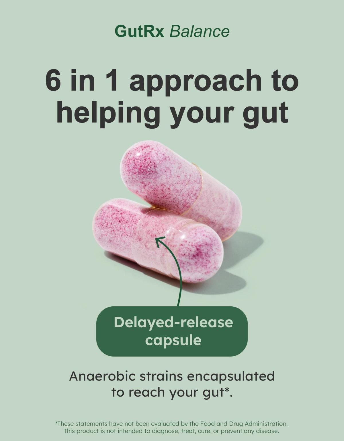 GutRx Balance – Probiotics for Women & Men with Akkermansia Probiotic & Christensenella, GLP-1 Alternative for Gut Health with Lactobacillus Plantarum, - Maple Wellness Supplements
