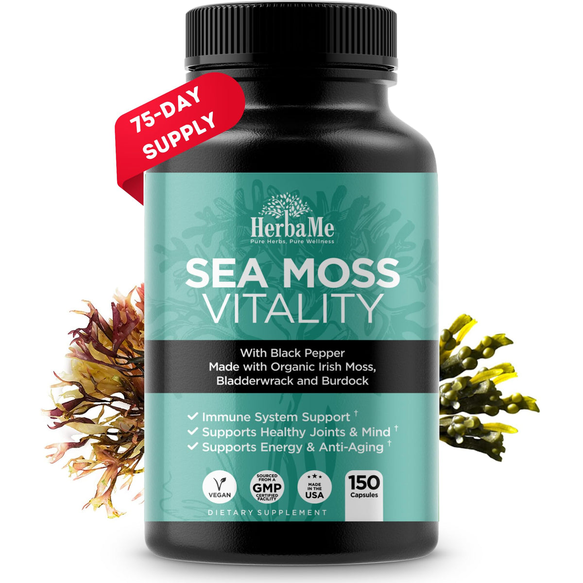 HerbaMe Organic Irish Sea Moss with Bladderwrack, Burdock Root & Black Pepper Extract, 150 Capsules, Thyroid Support, Natural Iodine Source, Promotes Immune System, Cell Food, Alkaline Supplement - Maple Wellness Supplements