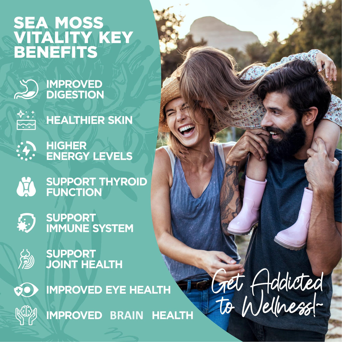 HerbaMe Organic Irish Sea Moss with Bladderwrack, Burdock Root & Black Pepper Extract, 150 Capsules, Thyroid Support, Natural Iodine Source, Promotes Immune System, Cell Food, Alkaline Supplement - Maple Wellness Supplements