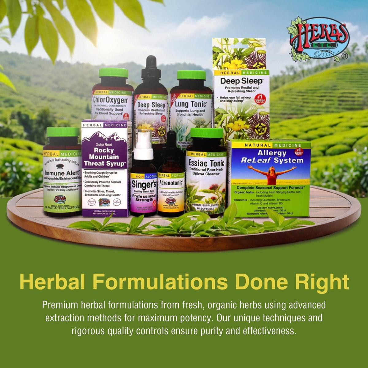 Herbs Etc. Menopautonic Softgels - Essential Supplement for Women - Hormonal Transition Support Supplement - Offers Menopausal Support with Dong Quai & Motherwort - 120 Softgels (120 Servings) - Maple Wellness Supplements