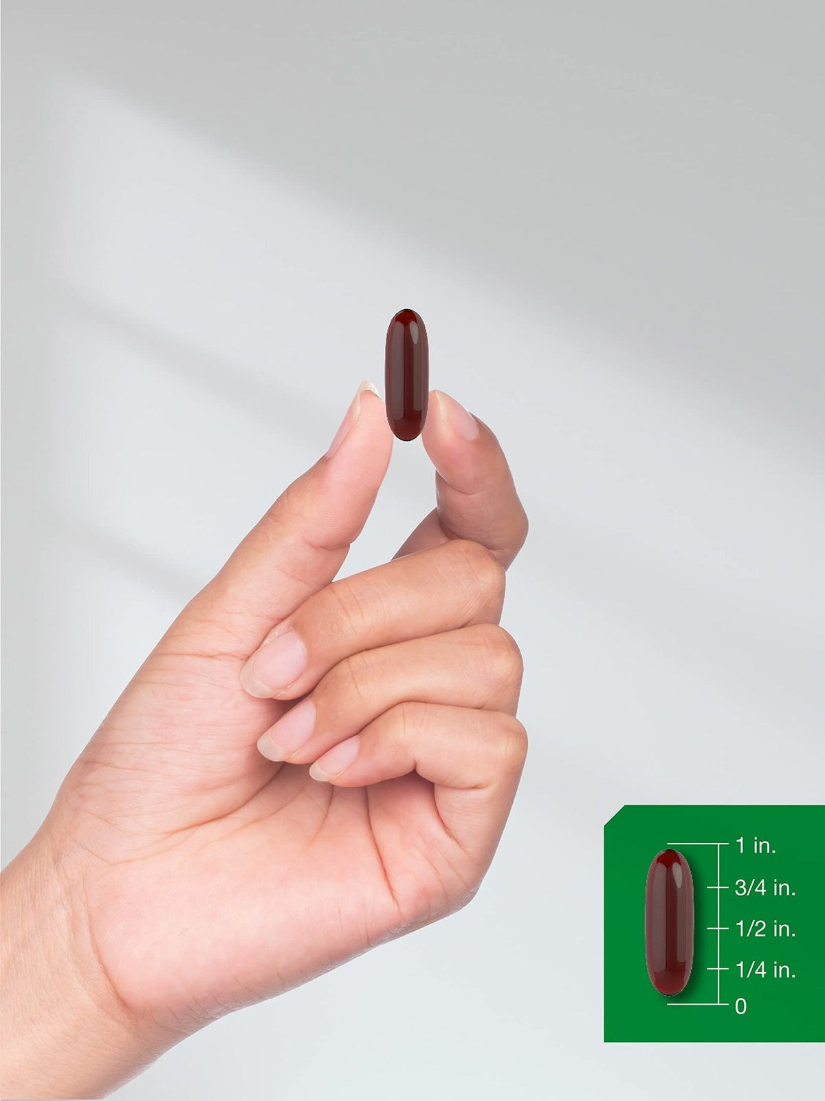 Horbaach Black Seed Oil Cold Pressed Softgel Capsules | 2000mg | 120 Count | Supplement with Omega 6 and 9 | Nigella Sativa - Maple Wellness Supplements