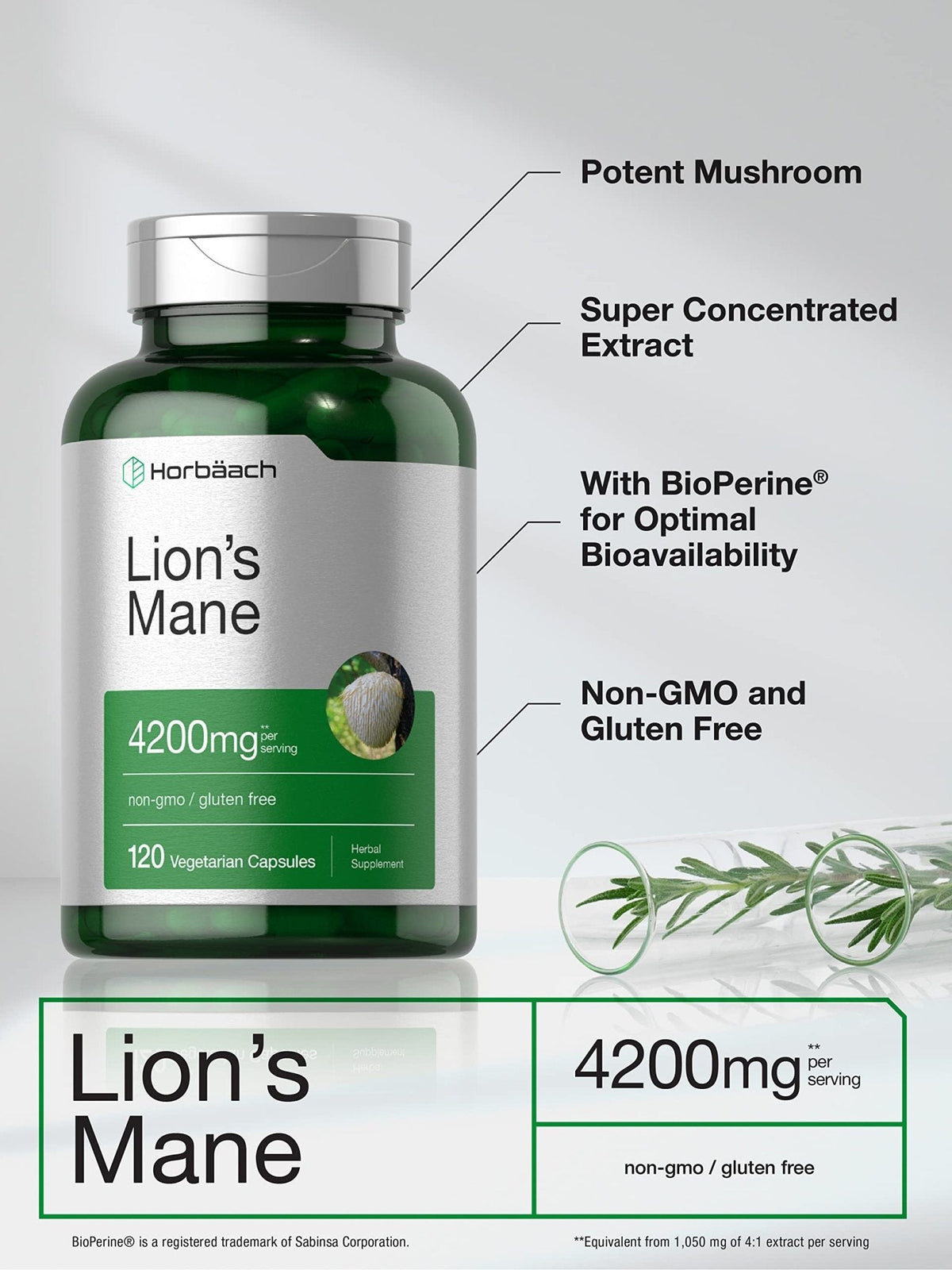 Horbäach Lions Mane Mushroom Extract | 120 Capsules | Vegetarian, Non-GMO, Gluten Free Supplement - Maple Wellness Supplements