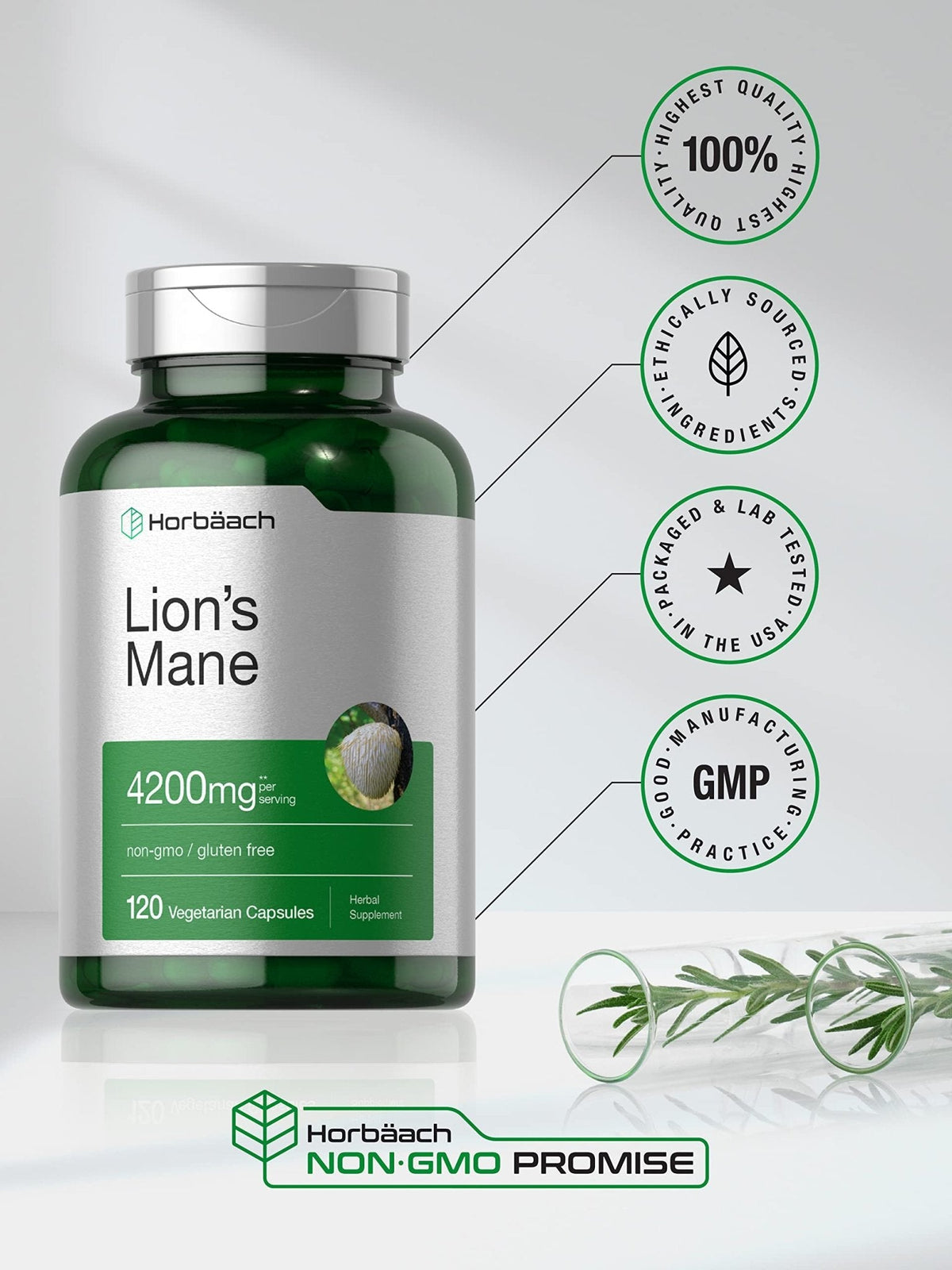 Horbäach Lions Mane Mushroom Extract | 120 Capsules | Vegetarian, Non-GMO, Gluten Free Supplement - Maple Wellness Supplements