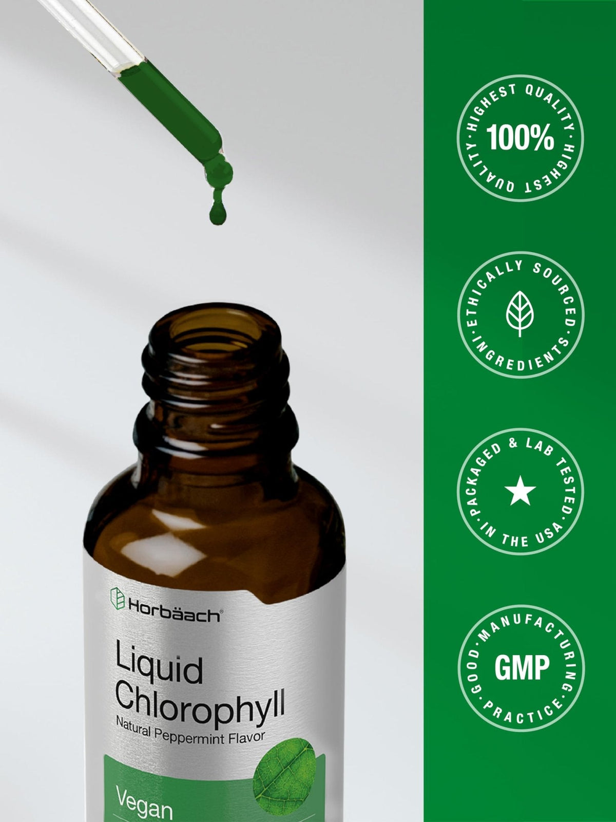 Horbäach Liquid Chlorophyll Drops | 2 oz | Vegan, Non-GMO, and Gluten Free Formula | Natural Peppermint Flavor - Maple Wellness Supplements