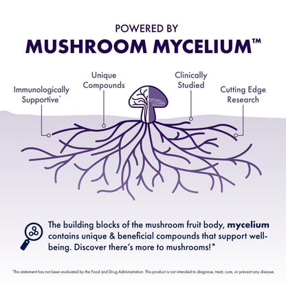Host Defense MycoBotanicals Brain* Capsules - Brain Support Supplement with Lion's Mane, Reishi & Cordyceps Mushroom - Herbal Supplement for Memory & Focus Support - 60 Capsules - Maple Wellness Supplements