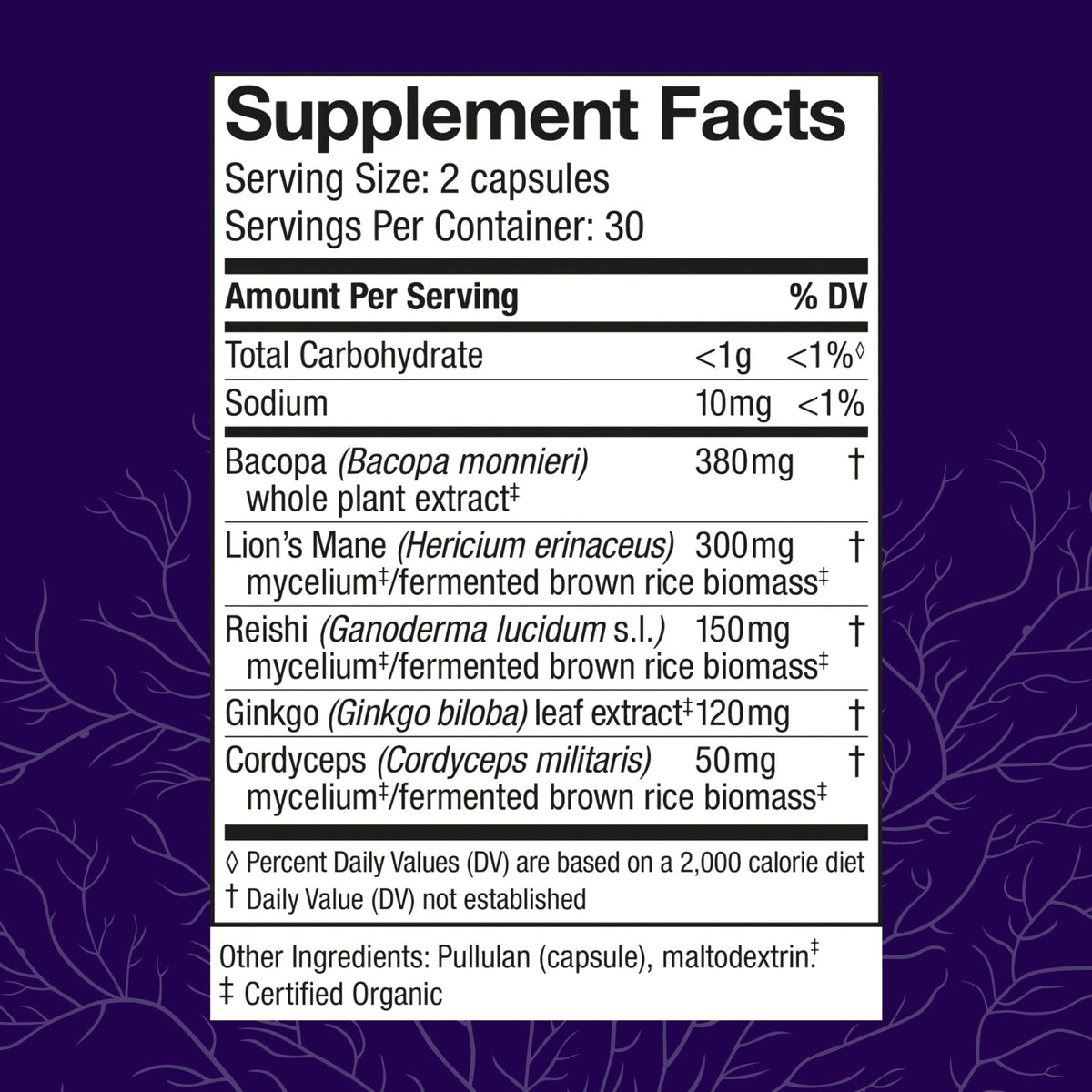 Host Defense MycoBotanicals Brain* Capsules - Brain Support Supplement with Lion's Mane, Reishi & Cordyceps Mushroom - Herbal Supplement for Memory & Focus Support - 60 Capsules - Maple Wellness Supplements