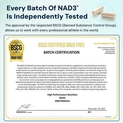HPN NAD+ Booster – Nicotinamide Riboside Alternative (NAD3) for Men & Women | Anti Aging NRF2 Activator, 312 mg per Serving – Natural Energy Supplement for Longevity & Cellular Health, 30 Veggie Pills - Maple Wellness Supplements