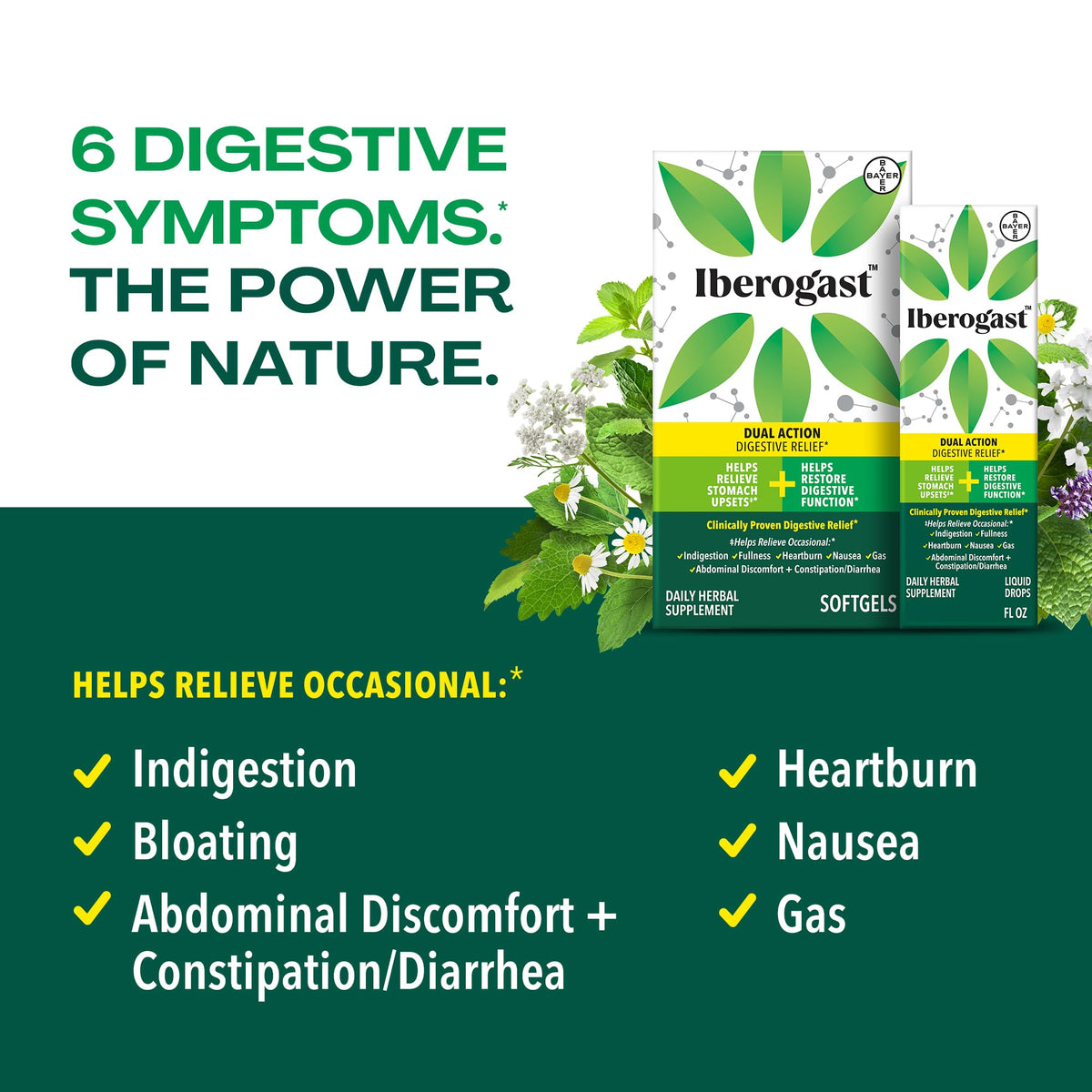 Iberogast Softgels, Herbal Relief of Stomach Upsets: Occasional Indigestion, Bloating, Gas, Nausea, Upset Stomach; 6-Herb Blend with Iberis Amara, - Maple Wellness Supplements