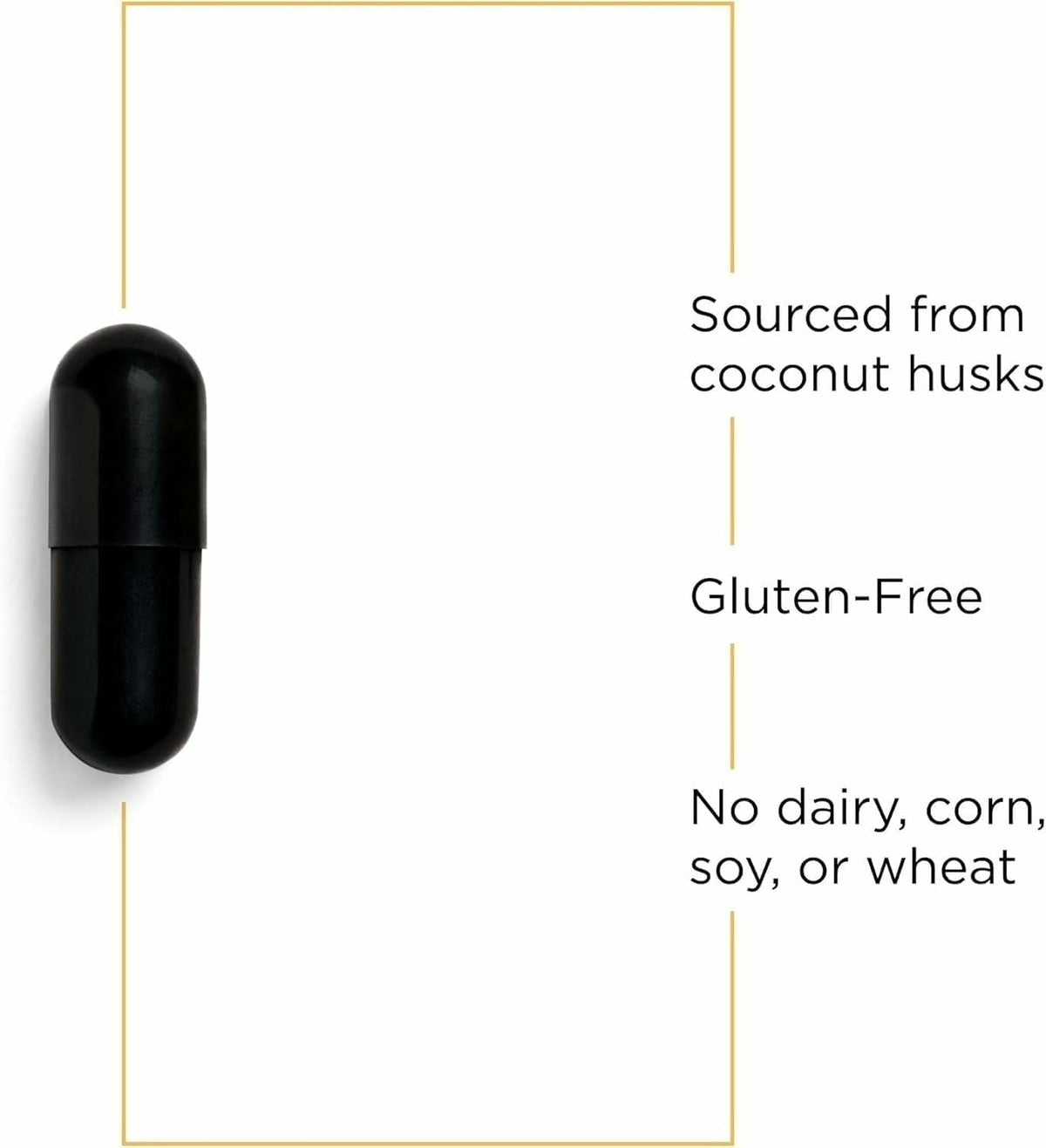 Integrative Therapeutics Activated Charcoal - Digestive & Gut Health Supplement - Effective Gastrointestinal Support - Gluten-Free & Dairy-Free - Maple Wellness Supplements
