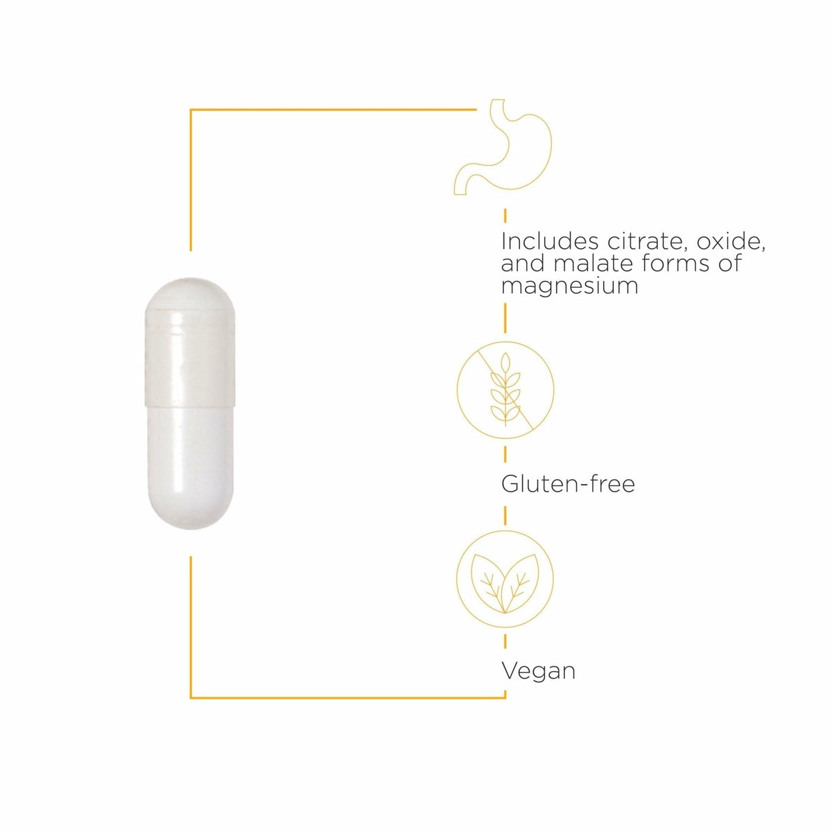 Integrative Therapeutics Tri-Magnesium - Supports Cellular Energy & Energy Metabolism* - Magnesium Supplement for Heart & Nerve Health Support* - Third-Party Tested - 90 Capsules (90 Servings) - Maple Wellness Supplements