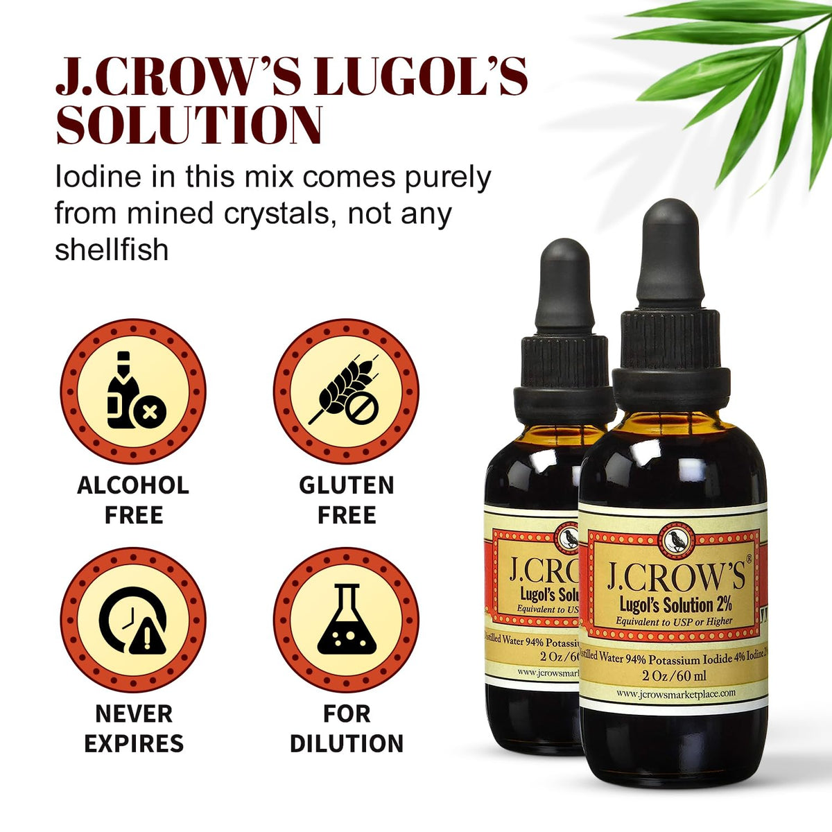 J.CROW'S® Lugol's Solution of Iodine 2% 2 oz (1 Bottle) – Premium Iodine & Potassium Iodide Liquid, Gluten & Alcohol-Free Natural Brine Extract, No Expiration - 1200 Drops - Maple Wellness Supplements