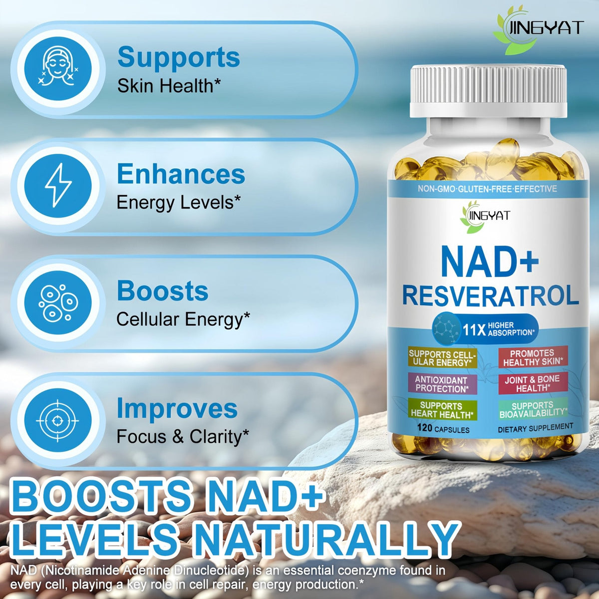 JINGYAT 11-in-1 NAD Supplement with Resveratrol, CoQ10, Quercetin, Collagen, Grape Seed for Cellular Energy, Mental Focus & Antioxidant Support - NAD Supplement for Women & Men, 120 Soft Capsules - Maple Wellness Supplements