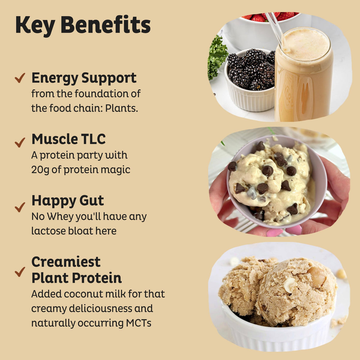 KOS Vegan Protein Powder Erythritol Free, Vanilla USDA Organic - Pea Protein Blend, Plant Based Superfood Rich in Vitamins & Minerals - Keto, Dairy Free - Meal Replacement for Women & Men, 28 Servings - Maple Wellness Supplements