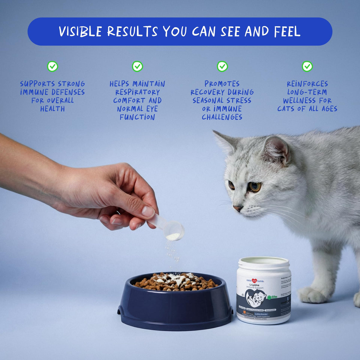 L-Lysine Supplement for Cats 900mg/scoop - Cat Supplement for Sneezing and Runny Nose, Cold, Immune Support, Eye Function - Maple Wellness Supplements
