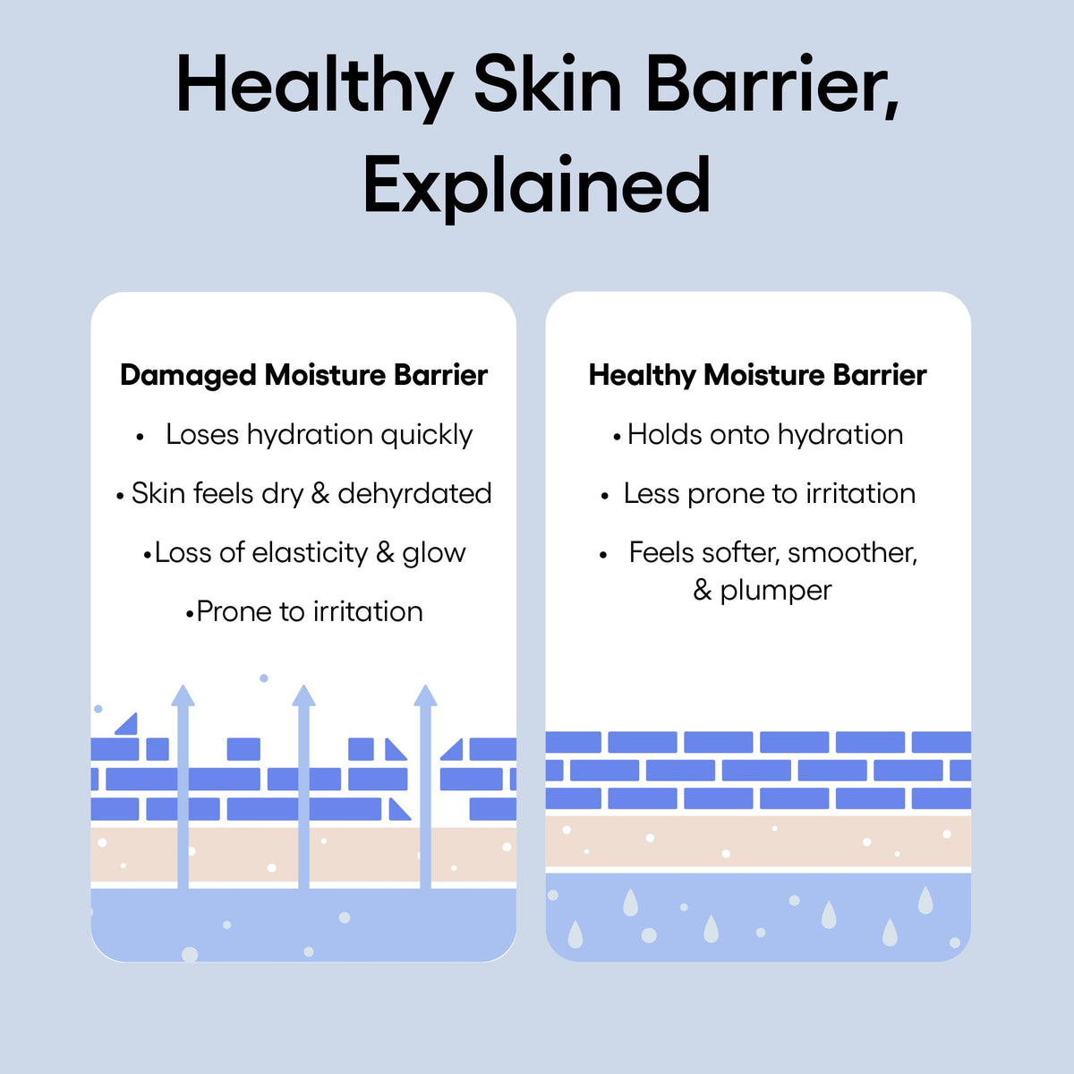 LANEIGE Water Bank Blue Hyaluronic Cream Moisturizer: Hydrating Korean Face Cream with Squalane & Ceramide - Maple Wellness Supplements
