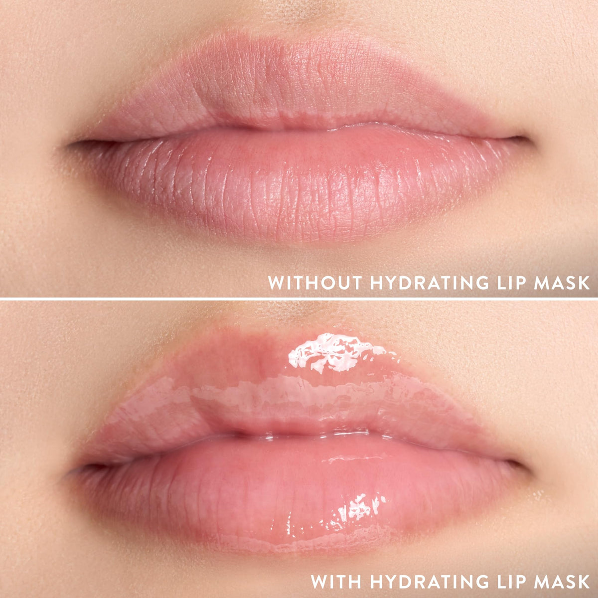 LAURA GELLER NEW YORK Hydrating Lip Mask – Deep Moisture Lip Treatment for Dry, Chapped Lips with Jojoba Oil & Shea Butter – Includes Applicator – Lavender - Maple Wellness Supplements