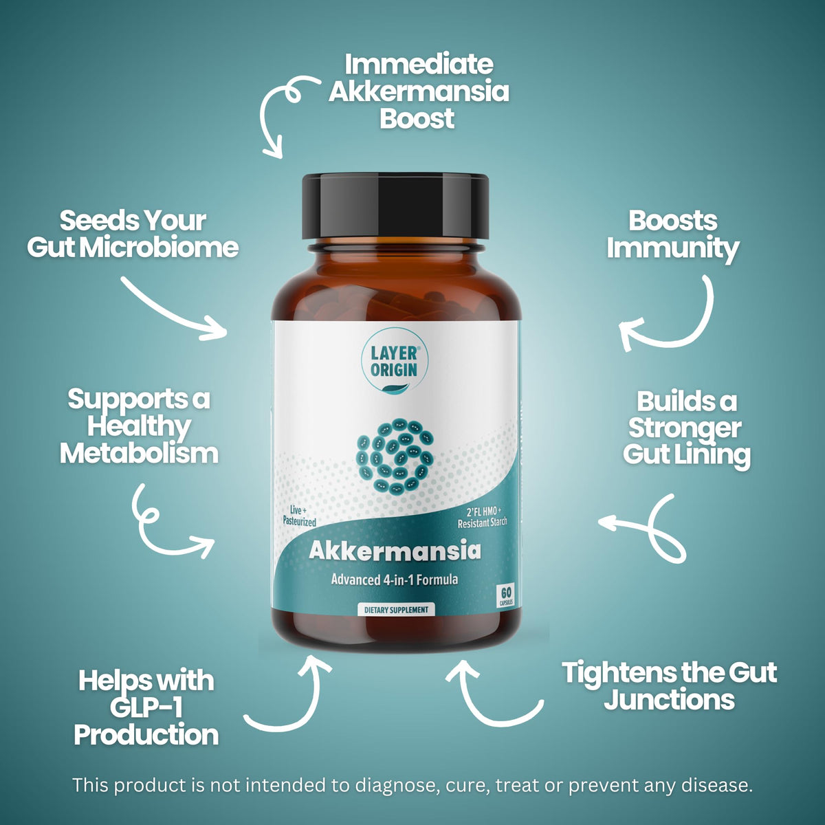 Layer Origin Akkermansia muciniphila Probiotic, with Both Live + Pasteurized Akkermansia and PureHMO Prebiotic, Validated Strain, Updated 4-in-1 Formula - Maple Wellness Supplements