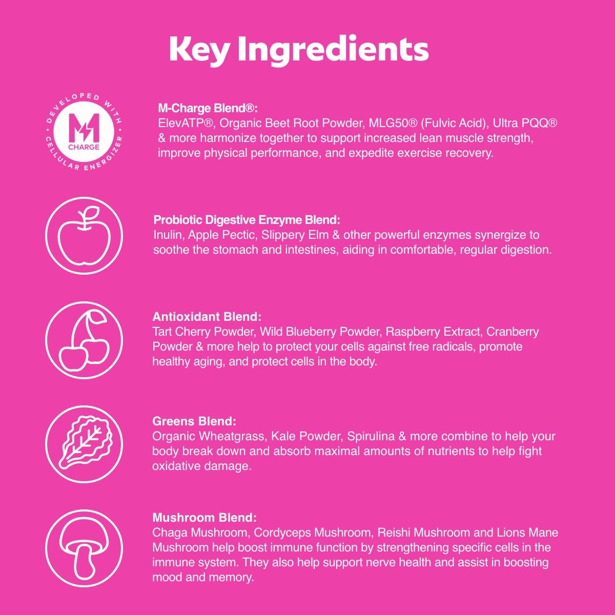 L'Evate You Vitality Daily Greens Powder (28 Servings) 30 Superfoods, 9 Greens - for a Cellular Energy Boost, Powered by M-Charge Complex for All Day Energy (Tart Cherry) - Maple Wellness Supplements