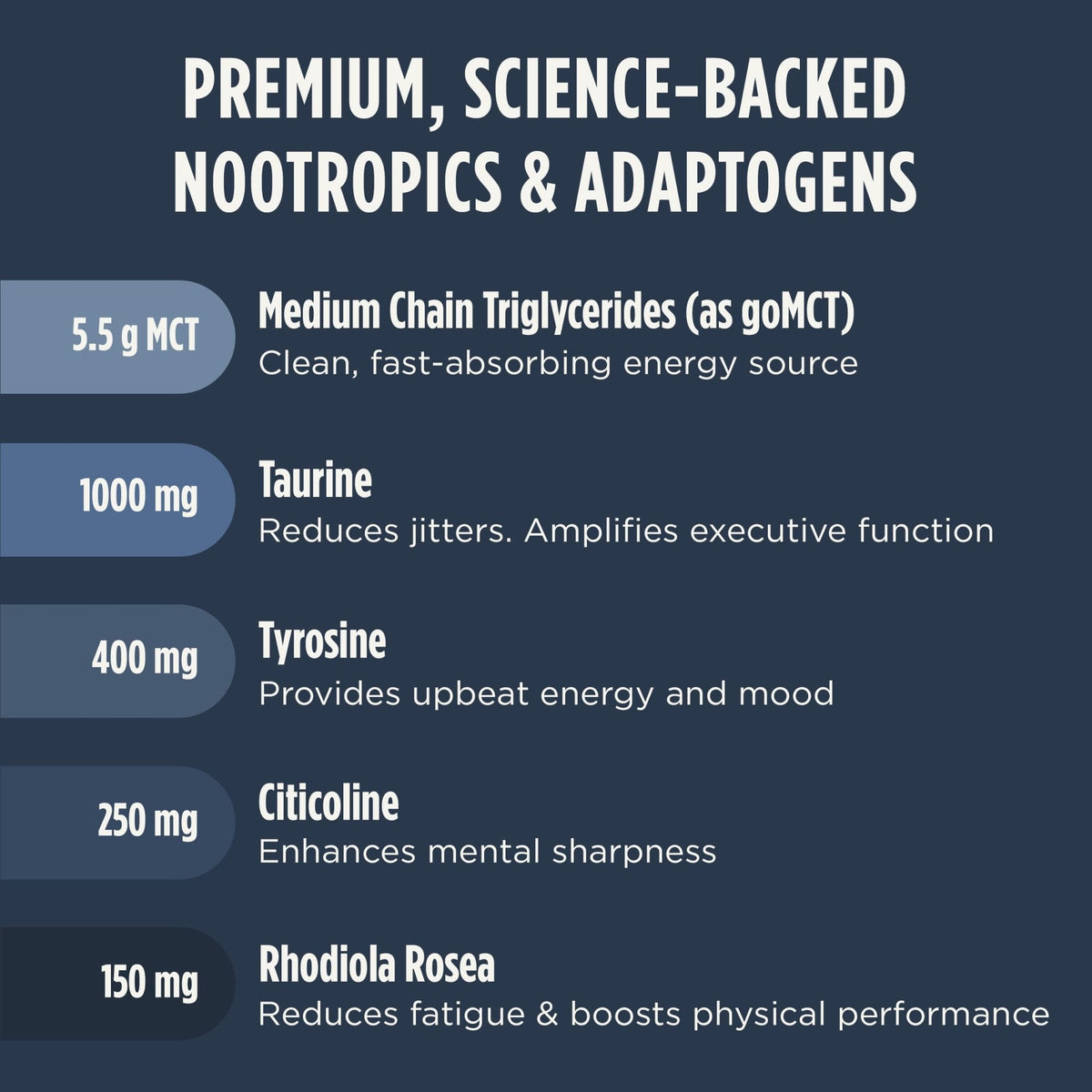 LIFESTACKS Focus Coffee Creamer for Energy & Clarity - MCT Powder + Nootropics + Adaptogens - Boost Productivity Without Jitters or Crash - Keto, Vegan, 0 Sugar - with Taurine, L-Tyrosine, Rhodiola - Maple Wellness Supplements