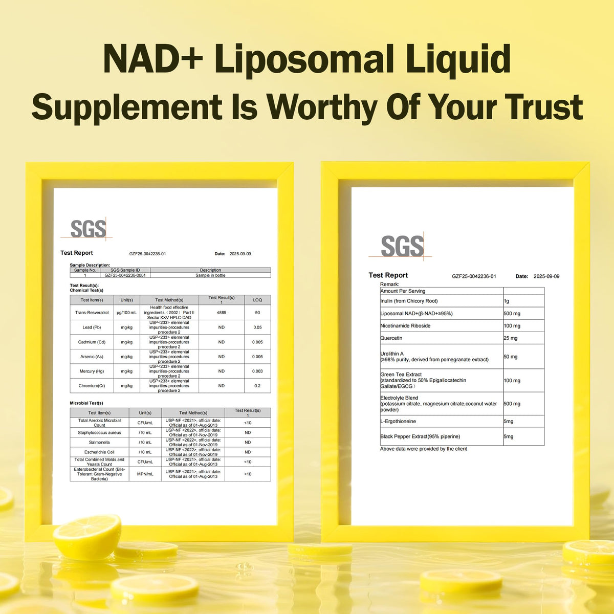 Liposomal NAD+ Liquid Supplement - Designed to Help Support Absorption - Nhanced Cellular Uptake, Helps Support Normal Cellular Health, Supports Cellular Energy Metabolism and Vitality - Lemon Flavor - Maple Wellness Supplements
