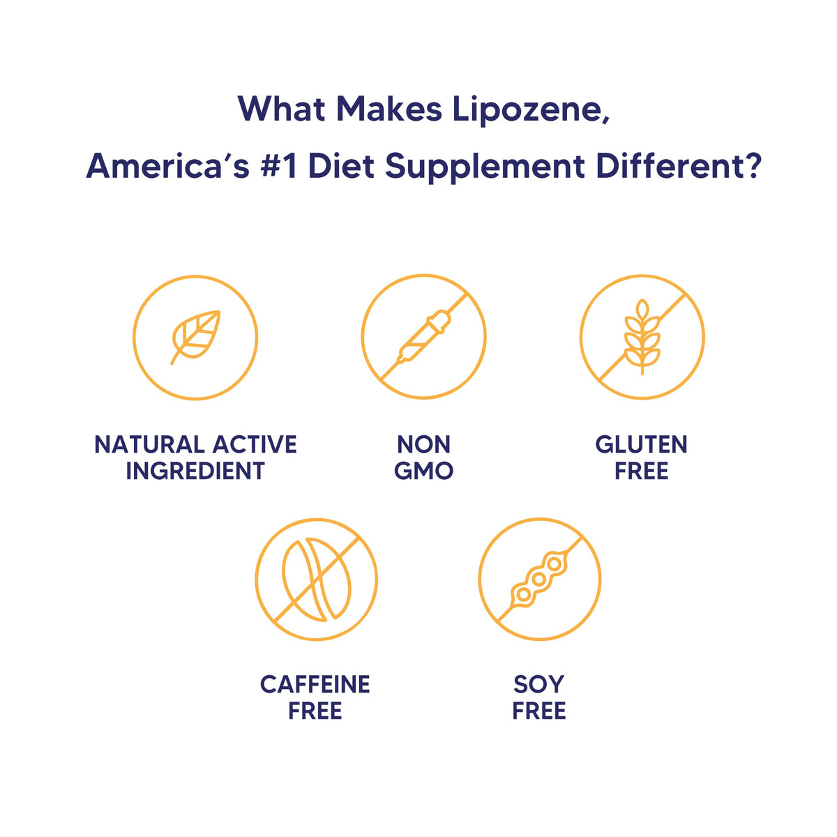 Lipozene Weight-Management Fiber Supplement, 60 Capsules | Non-Stimulant Glucomannan Formula for Healthy Lifestyle Support - Maple Wellness Supplements