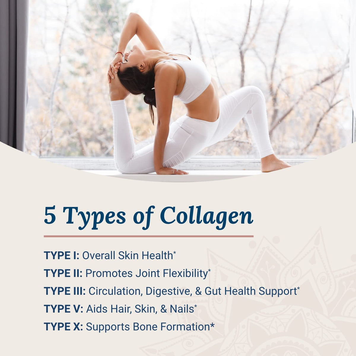 Live Conscious Beyond Collagen Multi Collagen Capsules - Types I, II, III, V & X - Hydrolyzed Blend with Biotin & Vitamin C for Hair, Skin, Nails 90 Capsules - Maple Wellness Supplements