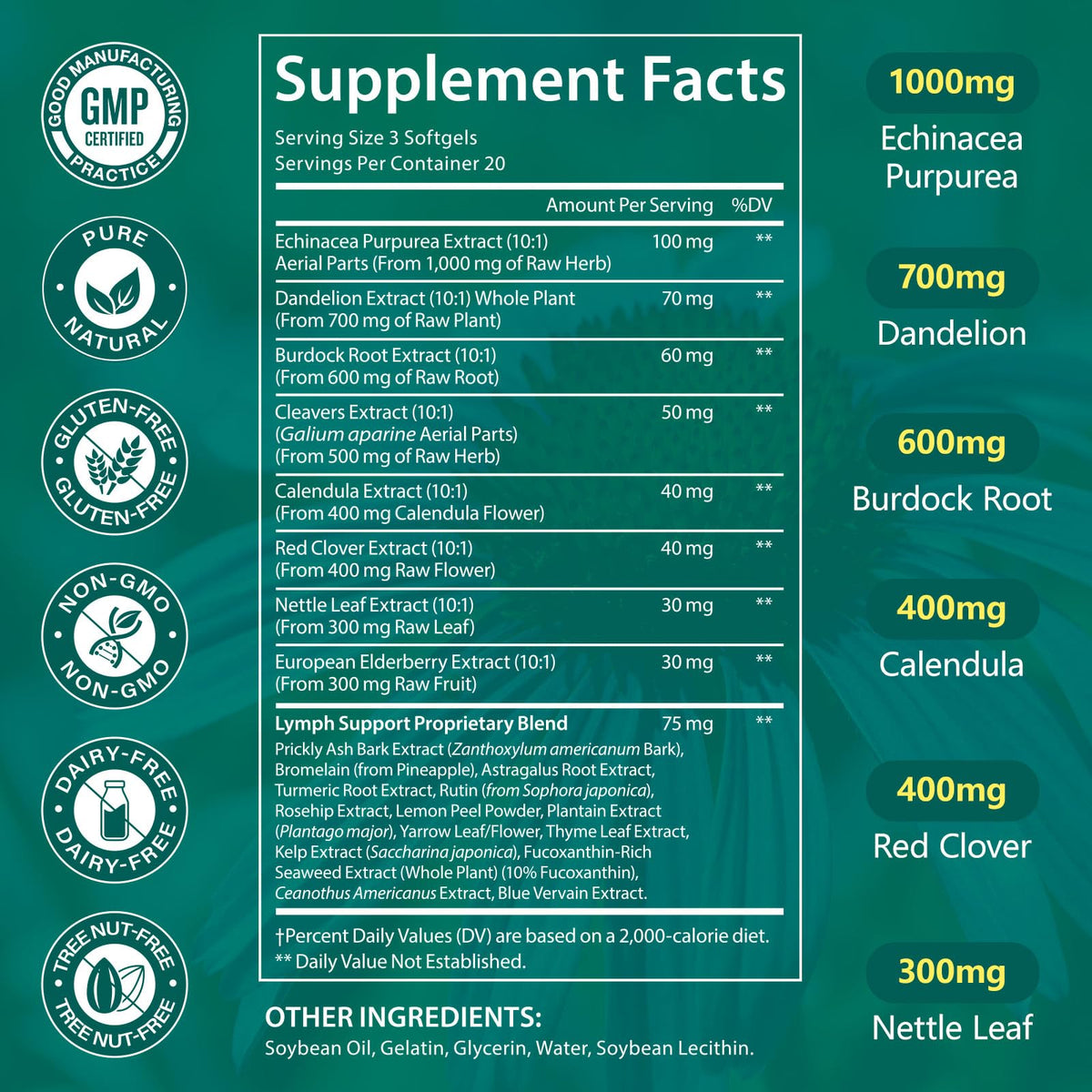 LTQXGT Lymphatic Support Supplement 60 Softgels– Advanced Botanical Complex with Echinacea, Dandelion & Elderberry – Antioxidant-Rich Daily Wellness Formula - Maple Wellness Supplements