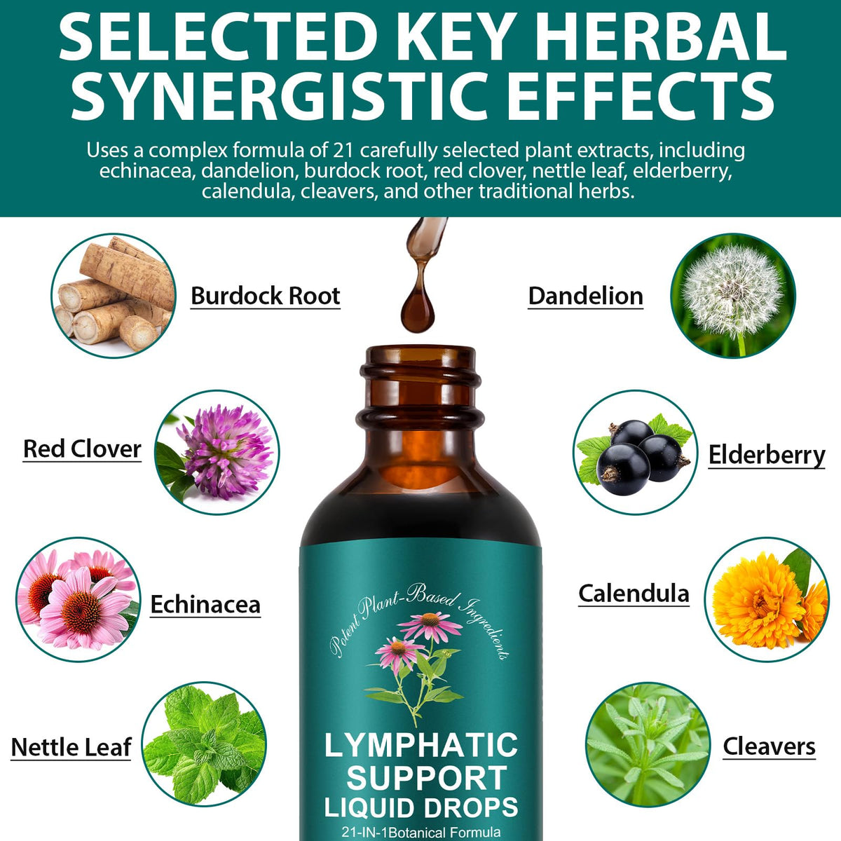 Lymphatic Drainage Drops | 21-in-1 Lymph System Support Supplement | Lymph Cleanse with Turmeric, Echinacea, Elderberry & Dandelion | for Women & Men, 2 fl oz - Maple Wellness Supplements